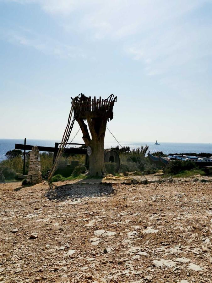 Apartment Andreas - Amphitheater - بولا المظهر الخارجي الصورة